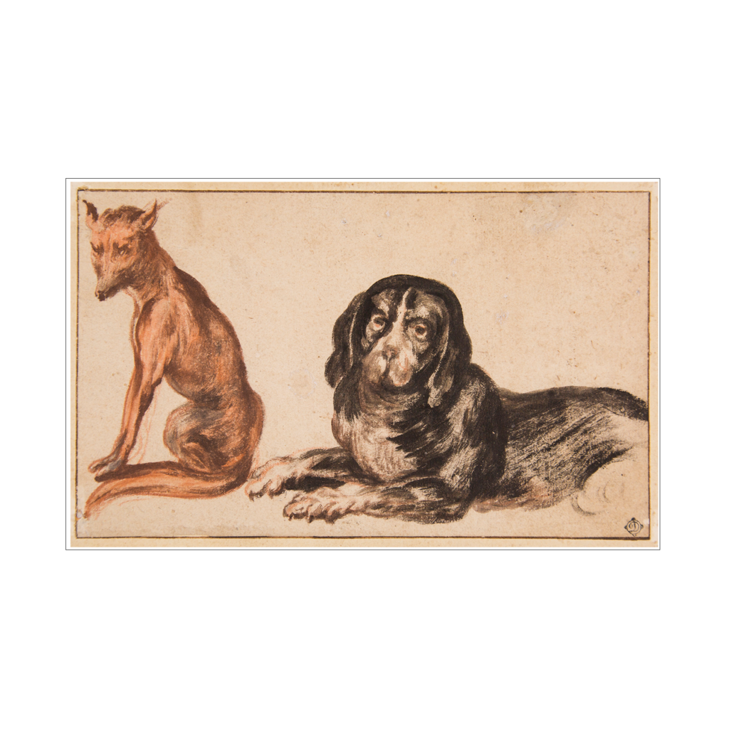 Two dog studies, 17th century Flemish School