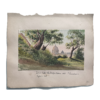 Le chêne du Tasse à San Onofrio par Susanna Frances Faithful Fanshaw – Image 4